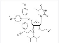 2'-O-MOE-5-Me-rU Phosphoramidite CAS NO. 163878-63-5 Wholesale