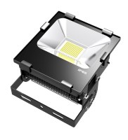 SMD Lumière crue de LED 50w 100w 150w 200w