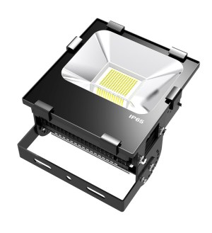 SMD Lumière crue de LED 50w 100w 150w 200w