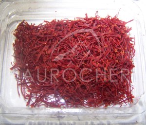 Safran AUROCHER Okaimeden Maroc