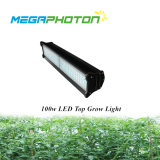 Haut LED Grandir la lumière 100w