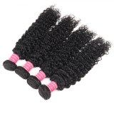 Brazilian Kinky Curly Virgin Human Hair Weave 3pcs/Lot