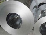 High quality galvanized steel sheets in coil