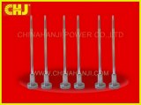 Common Rail Control Valve