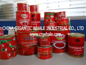 140g/tin double concentrated canned tomato paste with 28-30% BRIX
