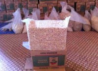 Noix acajou décortiqué qualité supérieur GRADE AA  WW180  WW240  WW320  WW450  Splits/LWP