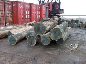 Vente de grumes Palo Santo/Lignum vitae