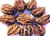Walnut kernels