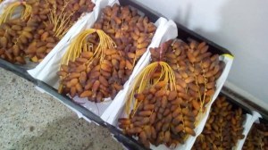 Dattes algériennes fraiches