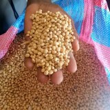 Recherche des partenaires