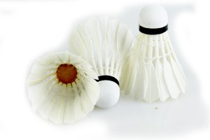 Badminton