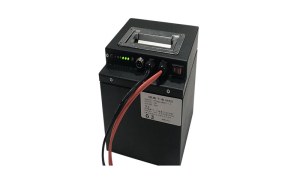 24V 30Ah Lithium Ion Battery Pack