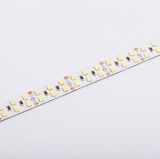 Ultra Brightness 2750lm/m Flex LED Strip