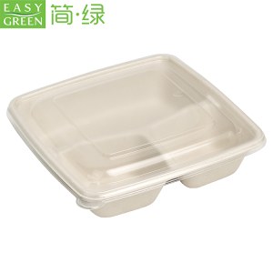 DISPOSABLE COMPARTMENT CONTAINERS