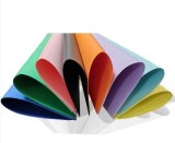 Color Paper/Color Board