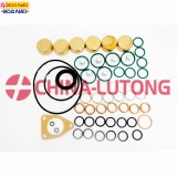 Pump Repair kits 2 417 010 010 Gasket kit And Rebuild Kit 800019 Overhaul Kit