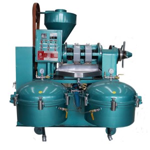 Castor Oil Press Machine