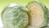 Fresh Cabbage
