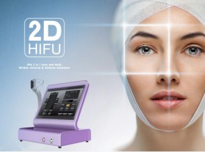 2d Hifu 2 in 1 face and body