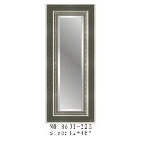 High Quality Full Length Dressing Mirror Moulding 8631-22E
