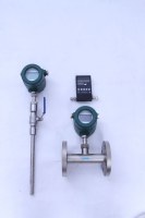 Biogas Flow meters