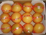 Honey Pomelo