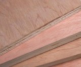 Bintangor plywood