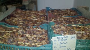 Dattes deglet Nour de la Tunisie