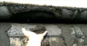 Sludge Dewatering Belt Press For Waste Water