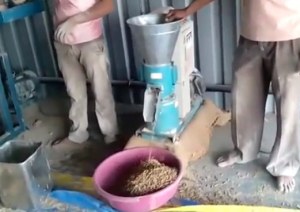 Ligne de production des aliments pour volailles