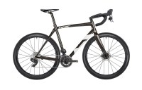 2022 TIME FLUIDITY DISC DAYTONA PRO BIKE