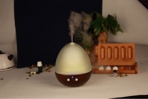Glass Ball Oil Diffuser Night Light