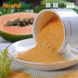 Fruit powder papaya powder for beverage juice and drinks