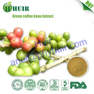 Green Coffee Bean Extract Powder