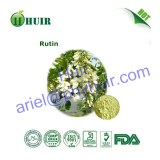 Factory Supply High Quality Rutin Extract!