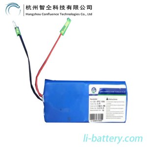 Batterie au lithium-ion 21.6V 2.6Ah pour scooter électrique (Glow)
