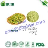 GMP Factory Supply High Quality Sophora Japonica Extract Rutin NF11 / EP 8.0