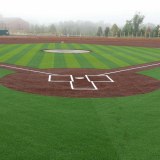 Sports Artificial Grass For Baseball