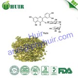 OEM Welcome traditional Chinese herbs extract sophora japonica extract rutin powder