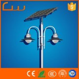 China Gold Supplier factory wholesale 20W -40W garden solar LED light for garedn park