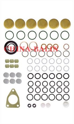 Pump repair kit 2417010021