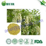 Pure natural herbs powder sophora japonica extract rutin powder NF11 , EP 8.0