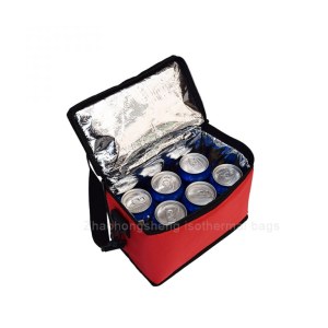 School Kids Insulated Ice Lunch Cooler tote Bag