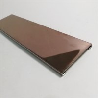 Foshan customized decorative metal corner trim sand blasted door edge guard trim
