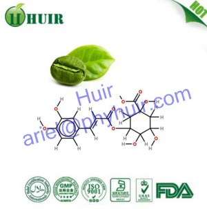 Green Coffee Bean P.E., Natural Green Coffee Bean Extract, Huir Coffea Arabica P.E.