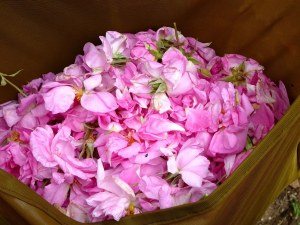 Vente en gros huiles essentielles