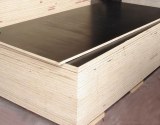 Film face plywood for sale