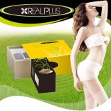 Fast Selling Product Easy Slim Boost Metabolism Good Taste REAL PLUS 28 Day Detox Tea