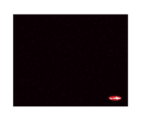 Reekin Tapis de Souris de Jeu 400x320mm (Noir, GAM-002A)