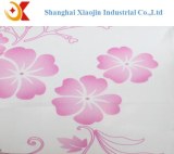 Pre-painted steel coils/PPGI &PPGL coil/color coated steel coil